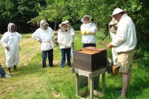 Andy bennett beekeeping demonstration